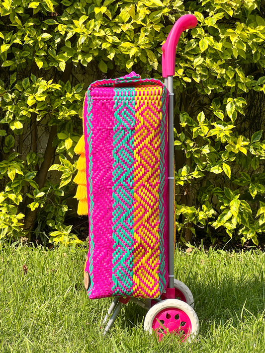 Carrito artesanal hot mexican🦋🌞