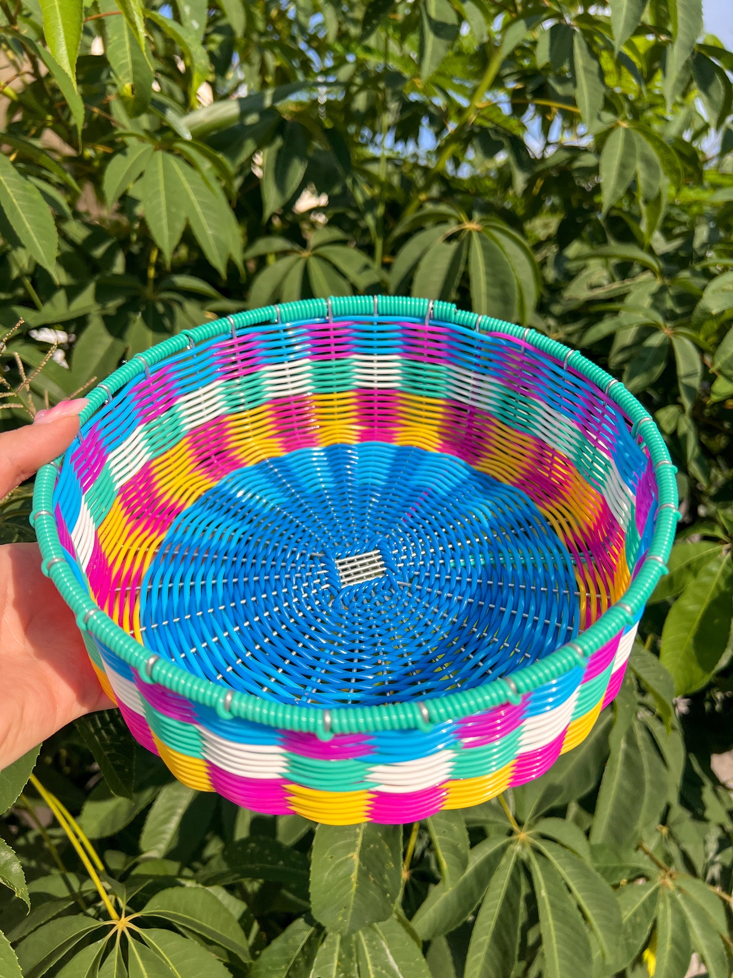 Tortillero primavera 🐝