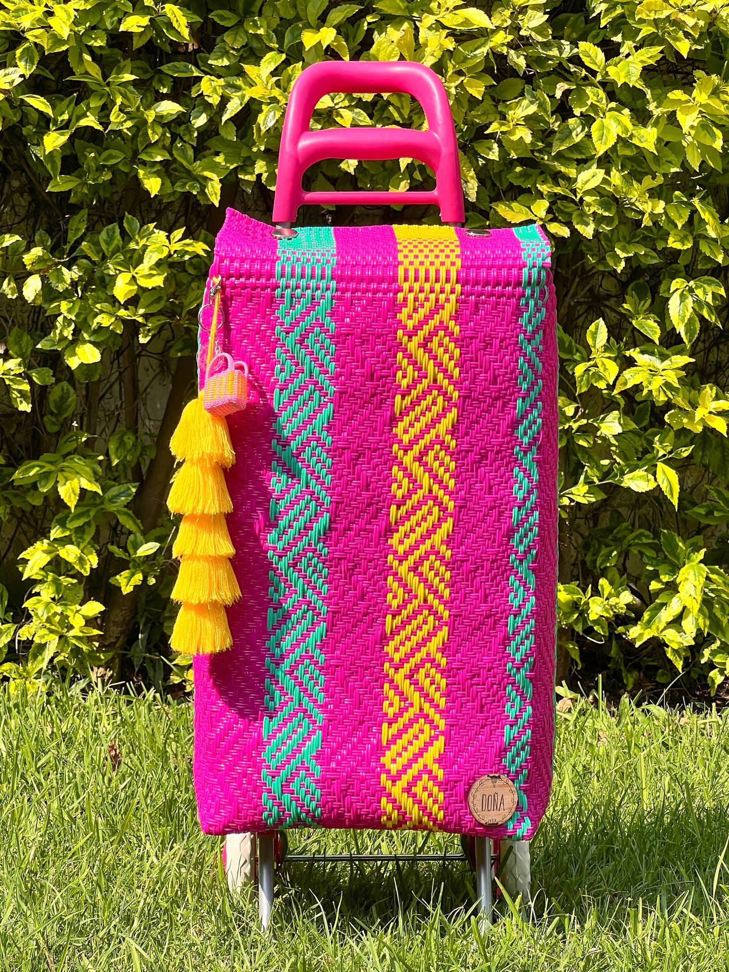 Carrito artesanal hot mexican🦋🌞