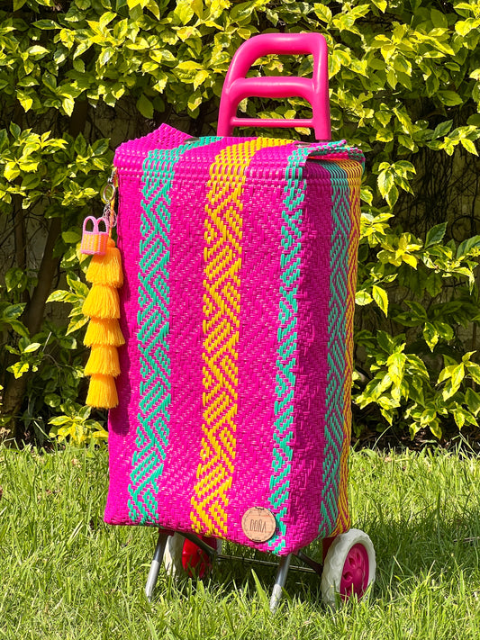 Carrito artesanal hot mexican🦋🌞