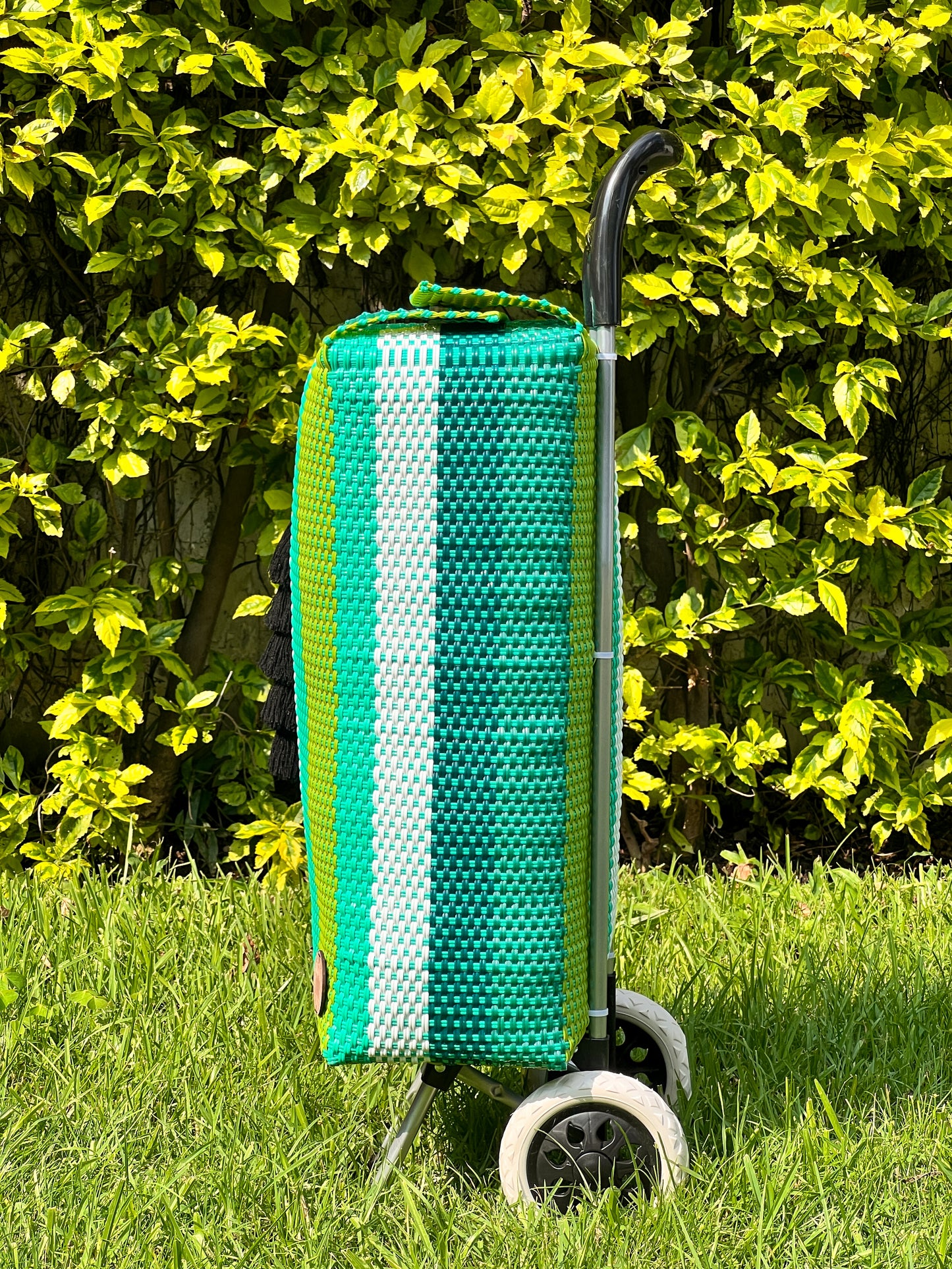 Carrito artesanal more green🍃