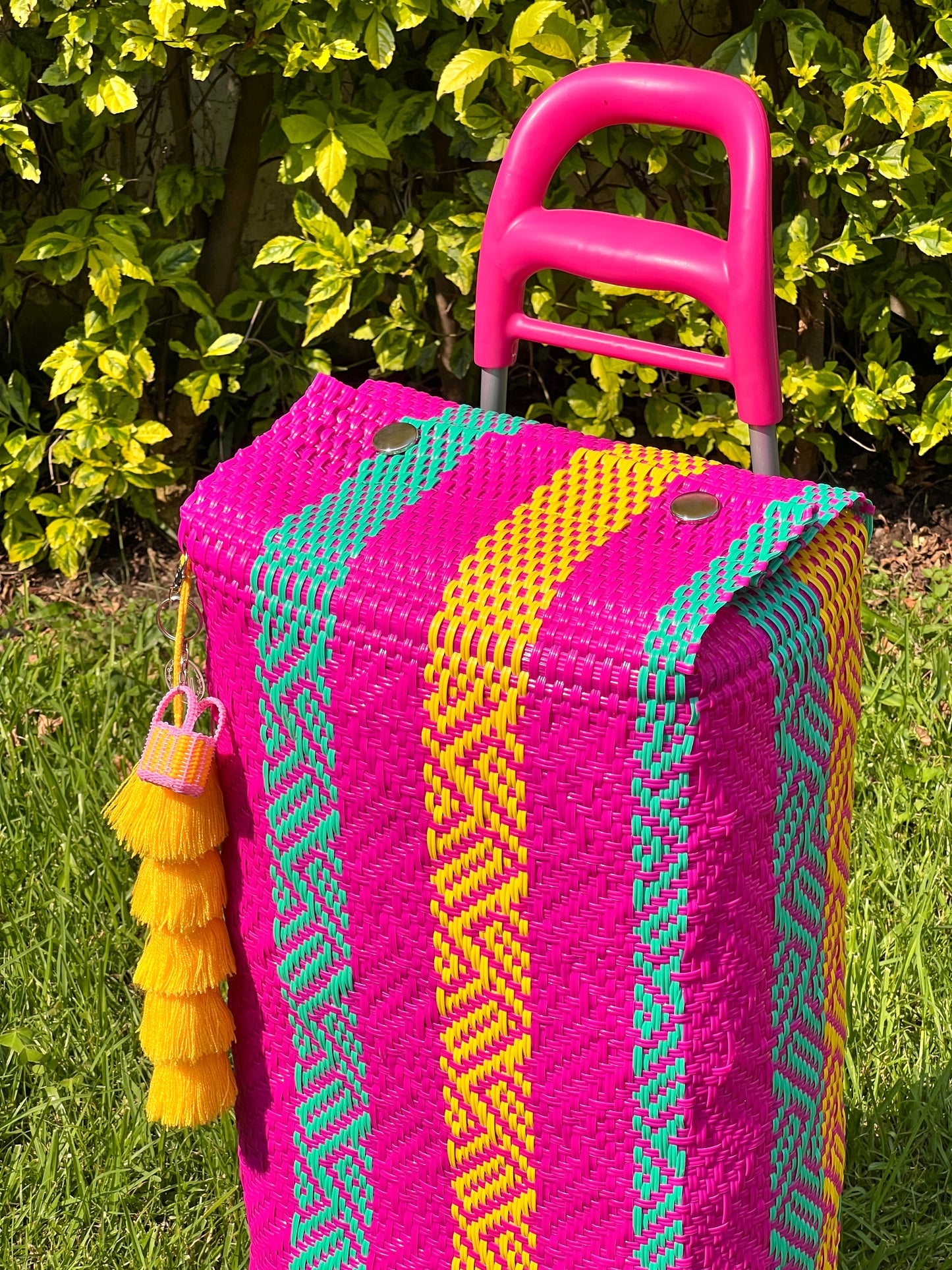 Carrito artesanal hot mexican🦋🌞