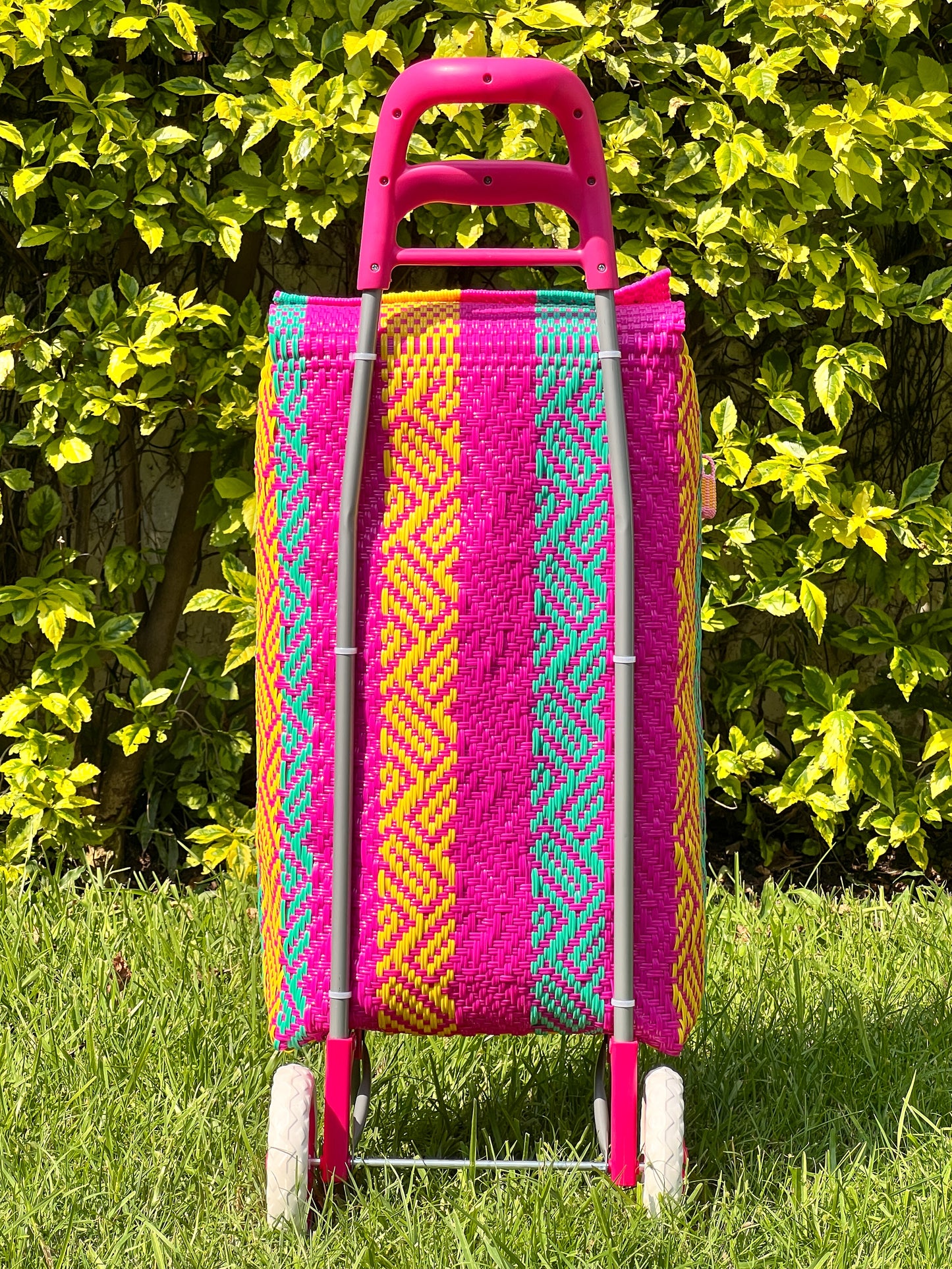 Carrito artesanal hot mexican🦋🌞