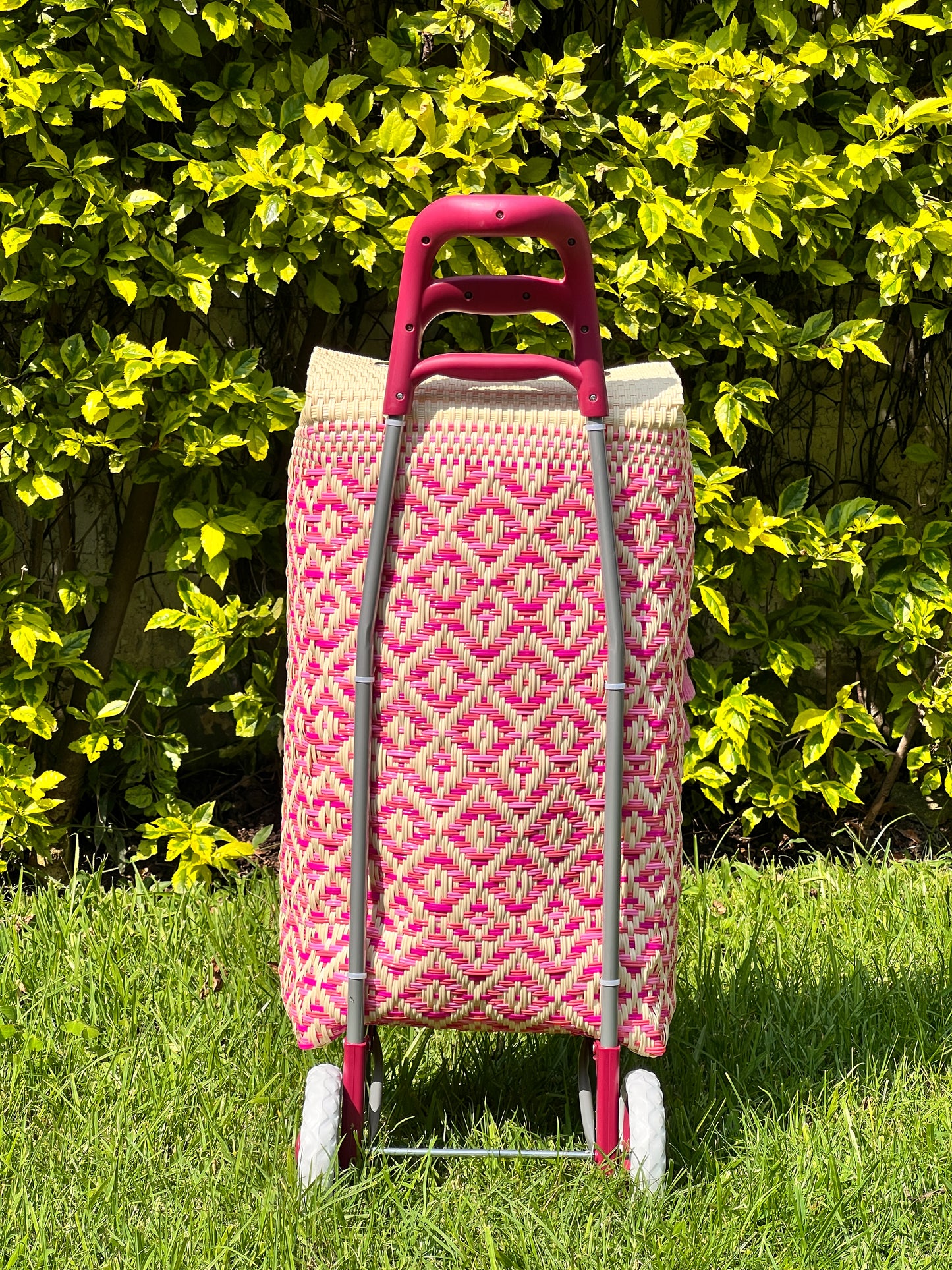 Carrito artesanal mix rosas🎀