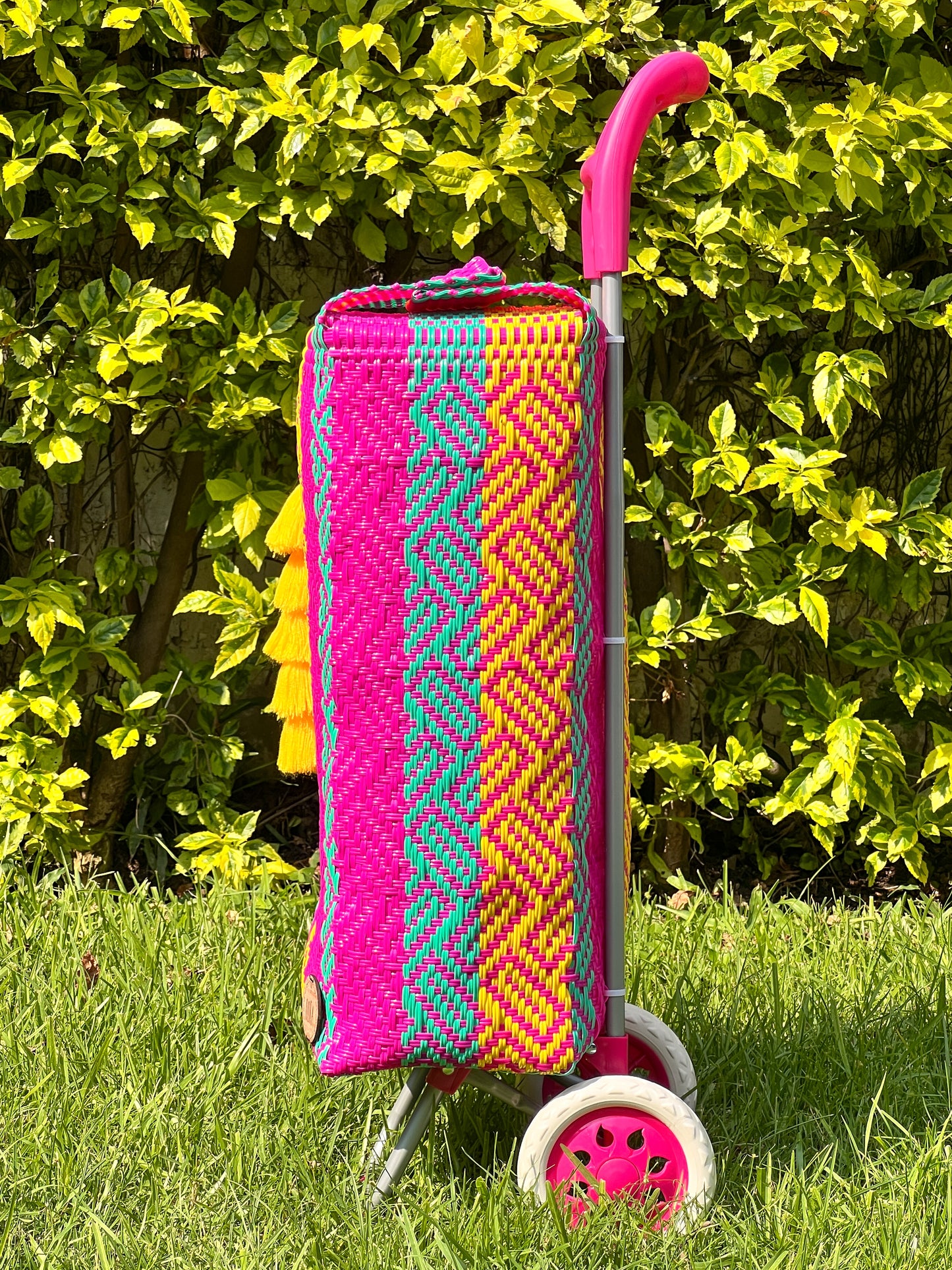 Carrito artesanal hot mexican🦋🌞